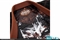 Product Alternate Image